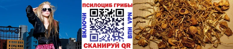 Псилоцибиновые грибы ЛСД  наркота  OMG сайт  Городовиковск 